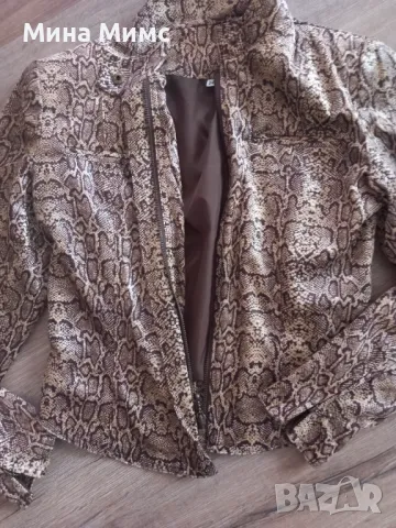 Яке преходно есенно, снимка 1