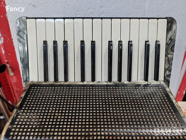 Малък акордион Hohner Student 4, снимка 2 - Акордеони - 52695917