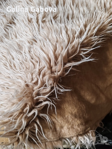 Покривала ледека