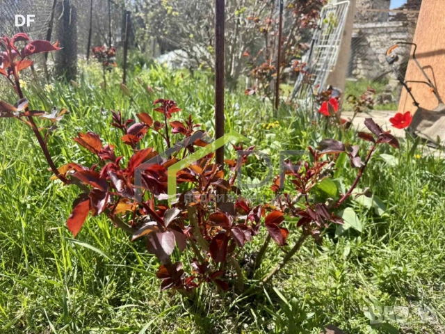 Къща с. Кичево, снимка 15 - Къщи - 54226074