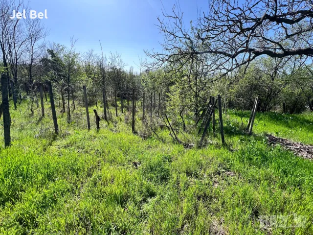 Парцел 557 кв.м. в Казанлък Вилна Зона ”Старите лозя” зад Художествената Гимназия, снимка 1