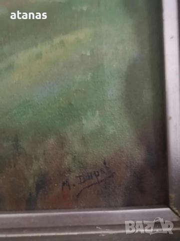 Картина вилата, снимка 3 - Картини - 52331485