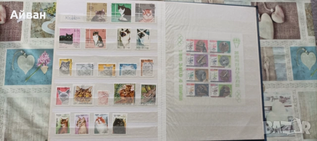 Два албума със пощенски марки , снимка 2 - Филателия - 53957410