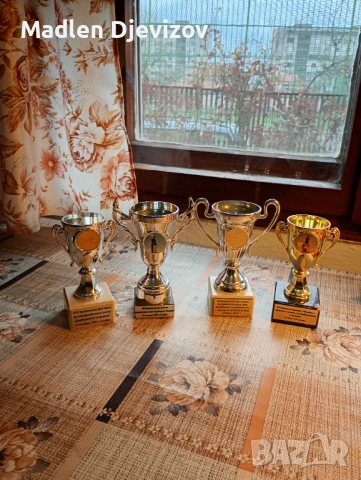 Купи от фестивали по 30 евро на купа, снимка 2 - Други ценни предмети - 53928018