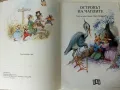 Островът на чаплите - Джон Пейшънс - 1994г., снимка 2