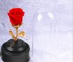 Вълшебна неувяхваща роза в стъкленица с LED светлина, снимка 1 - Подаръци за жени - 44494942