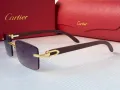 Cartier 2024 мъжки слънчеви очила, снимка 17