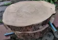 Дървен плот, дървени шайби , снимка 1