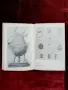 Хан Тервел Книга , снимка 2