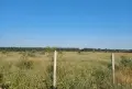 Земеделска земя 10 дка, снимка 3