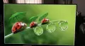 Монитор DELL 27" IPS S2719H, снимка 2