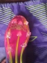 Футболни бутонки F50, снимка 4