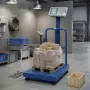Платформена електронна везна ACS 300/350 кг 40×50, снимка 1