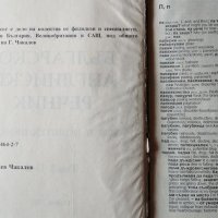 Нов българско-английски речник - общ и политехнически. Том 1-2 Гочо Чакалов, 1999г., снимка 3 - Чуждоезиково обучение, речници - 29079390