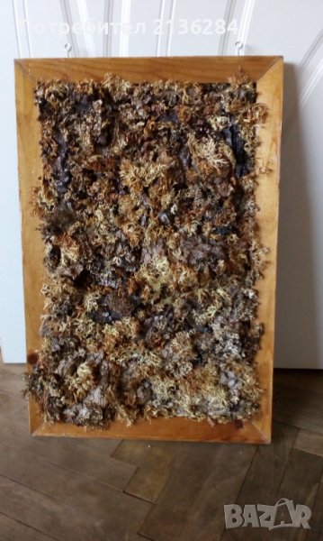 Декоративно пано, снимка 1