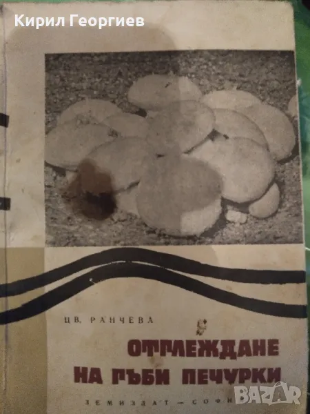 Отглеждане на гъби печурки 	  , снимка 1