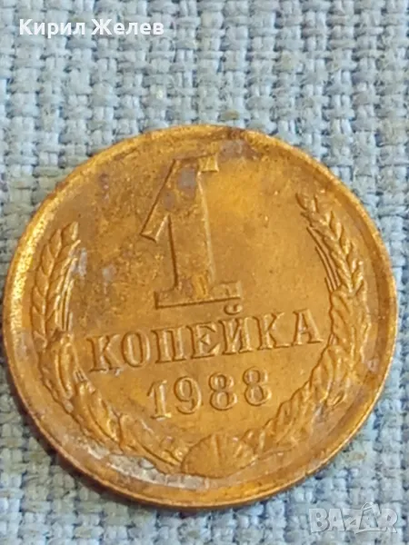 Стара монета 1 копейка 1988г. СССР рядка за КОЛЕКЦИЯ ДЕКОРАЦИЯ 42580, снимка 1