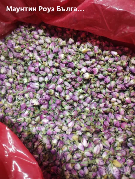 Сушени Розови Пъпки - Dried Rose Buds / Rosa damascena /, снимка 1