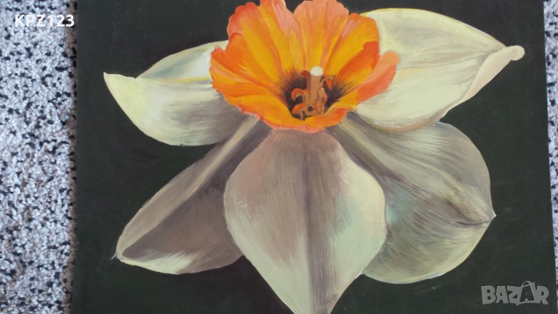 КАРТИНА НАТЮРМОРТ АКВАРЕЛ, снимка 1