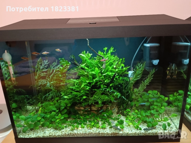Напълно оборудван и работещ аквариум , снимка 2 - Аквариуми - 49185034