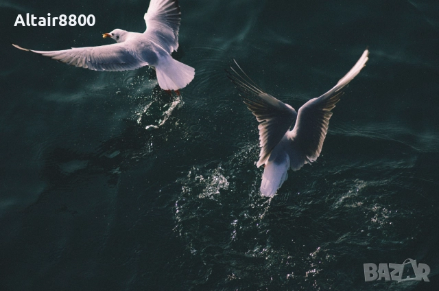 Tamron AF 70-300mm f/4-5.6 LD Di Tele-Macro обектив Никон, снимка 5 - Обективи и филтри - 52515517