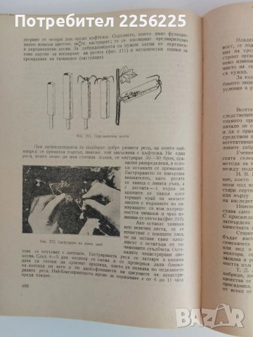 Лозарство, снимка 10 - Специализирана литература - 51124468