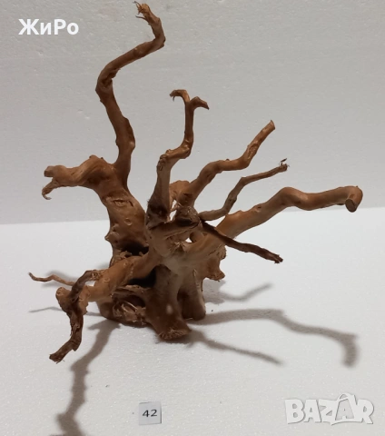 Корен от Азалия /декорация/ 42