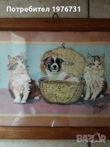 Акварел Анимализъм , снимка 2 - Картини - 51883609