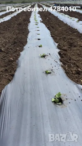 Мулч фолио черно сиво UV защита, снимка 6 - Градински инструменти - 49842126