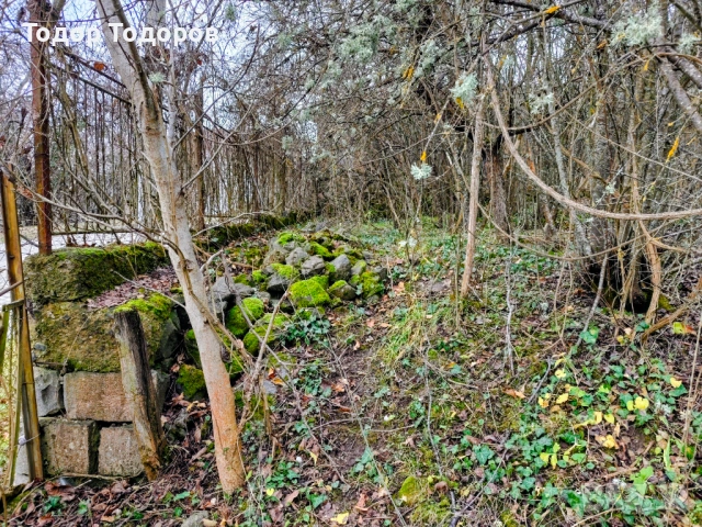 Парцел в с. Дивля, област Перник, снимка 7 - Парцели - 54305864