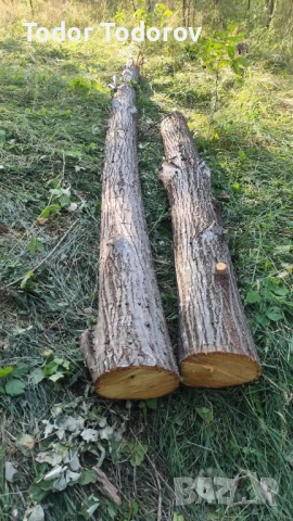 Трупи липа , снимка 4 - Други стоки за дома - 51082086