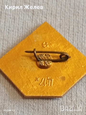 Значка ДИНАМО КИЕВ ШАМПИОН СССР колекционерска рядкост перфектно състояние 47921, снимка 5 - Колекции - 52210357