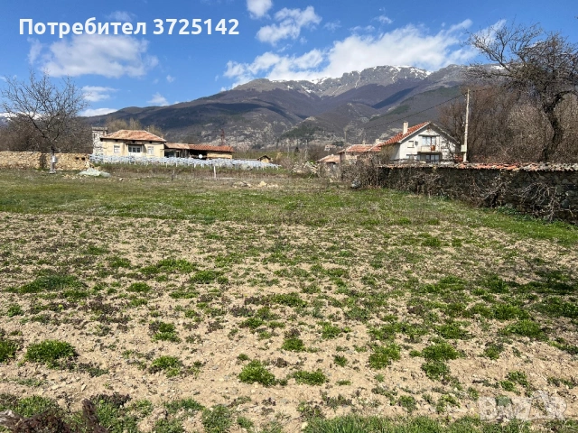 Голям, слънчев парцел, снимка 5 - Парцели - 54017537