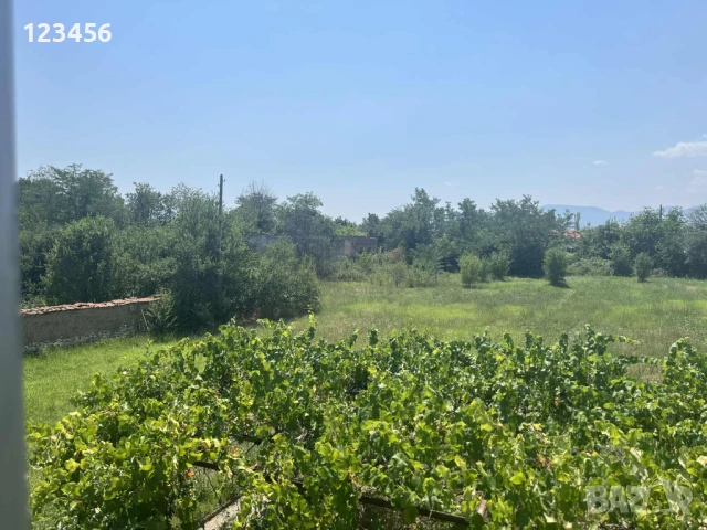 Къща с двор 2,2дка в с.Златовръх , снимка 9 - Къщи - 50954343