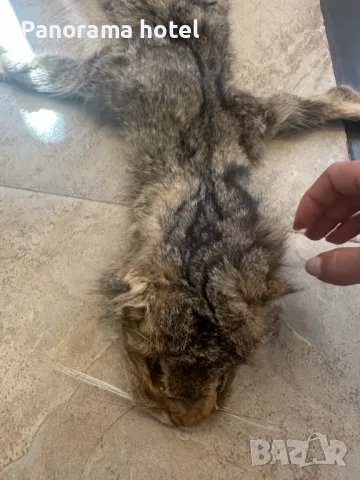 естествена кожа с косъм , снимка 5 - Други стоки за дома - 50078309