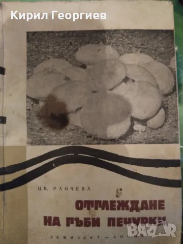 Отглеждане на гъби печурки 	  , снимка 1