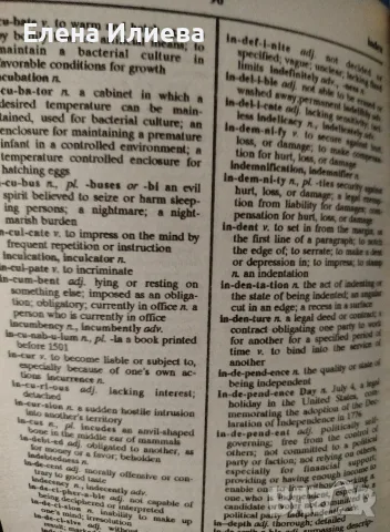 Английски тълковен речник Webster’s Dictionary, снимка 2 - Специализирана литература - 43998442