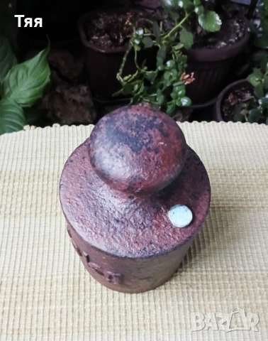 Тежест 10 кг, снимка 3 - Други ценни предмети - 51993641