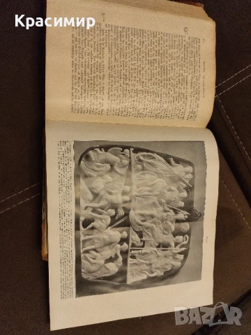Световна История.Оскар Йегер 1909 г.Том-1, снимка 13 - Нумизматика и бонистика - 50955254