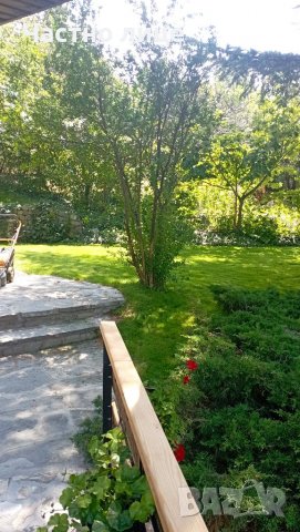 Градинарски услуги, снимка 4 - Градинска техника - 26109139