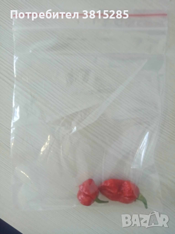 Люти чушки - Carolina Reaper - Каролина Рийпър - Най - лютите чушки в света, снимка 4 - Домашни продукти - 44716784