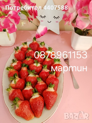 Разсад ягоди и малини , снимка 2 - Разсади - 49528320