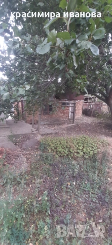 Къща в село Сваленик , снимка 10 - Къщи - 51694839