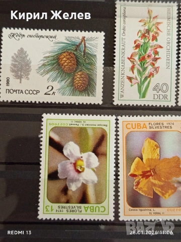 Стари пощенски марки от цял свят смесени ЦВЕТЯ без печат за КОЛЕКЦИЯ 52093, снимка 4 - Филателия - 53228596