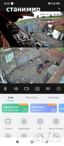 трицветно гонче, снимка 9 - Гонче - 53878849