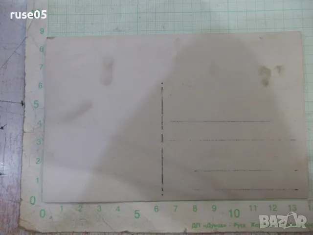 Снимка стара на покрива, снимка 2 - Колекции - 48016378