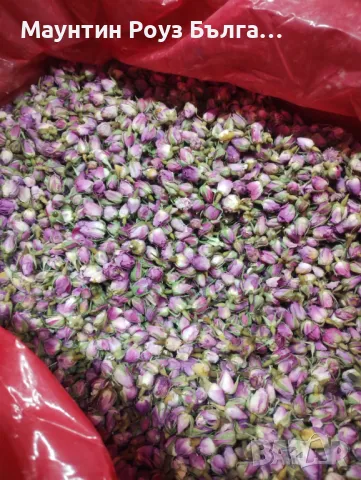 Сушени Розови Пъпки - Dried Rose Buds / Rosa damascena /, снимка 1