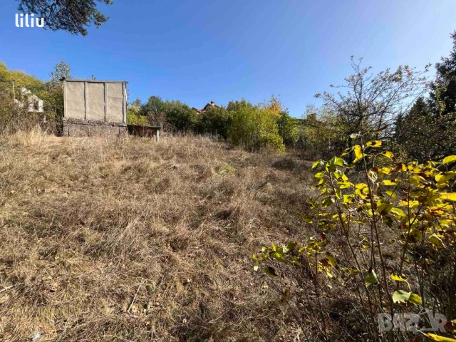 Продава ПАРЦЕЛ област София, с. Широки дол, снимка 3 - Парцели - 53151175