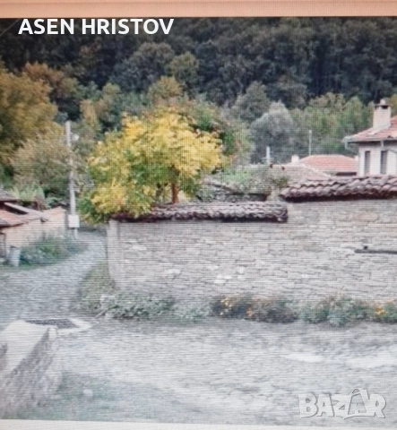 Продавам парцел 3 дка в с.Катунище , снимка 4 - Парцели - 51643829