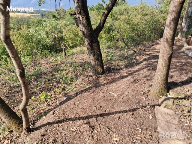 Намалена цена!, снимка 5 - Вили - 50933030